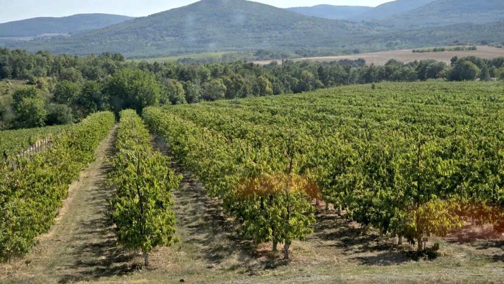 Машина за контурна резитба ПОД НАЕМ