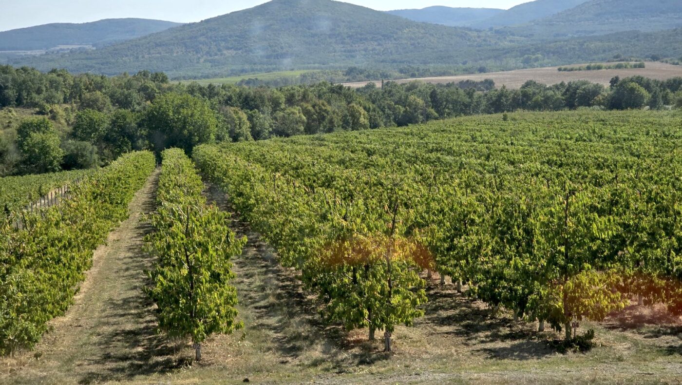 Машина за контурна резитба ПОД НАЕМ